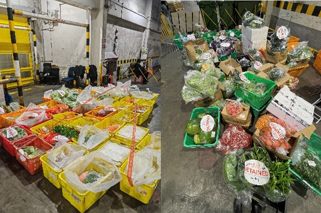 Fresh vessel provision supply 6