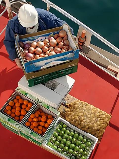 Fresh vessel provision supply 1
